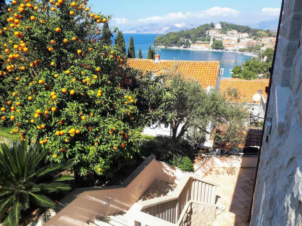 City Apartments Bobic Cavtat Exterior foto